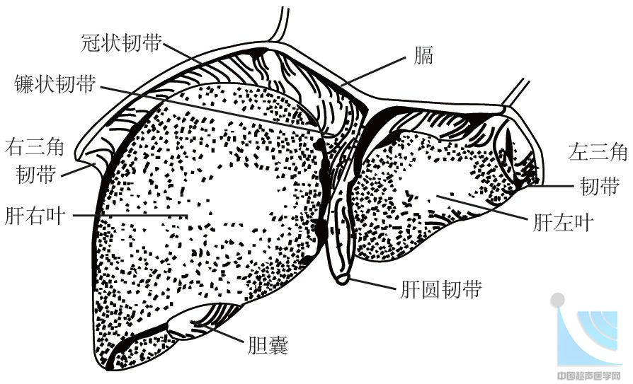 江南女子雨中撑伞背影简笔画